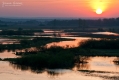 050_Biebrza - kwiecien 2012